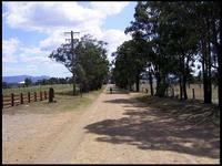 RIMG0193_161004.jpg