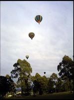 RIMG0223_161004.jpg