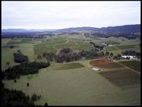 RIMG0235_161004.jpg