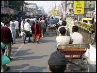 20040208_RIMG0393