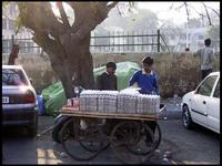 20040208_RIMG0410