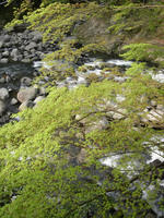 View over the river from our ryokan (traditional hotel) in Tonosawa