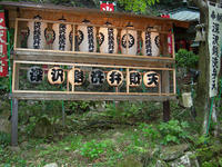 DSCN0806