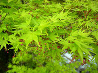 DSCN0810