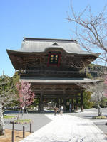 DSCN0622