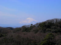 Mt Fuji-san