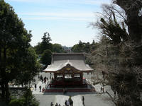 DSCN0645