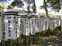 DSCN0651