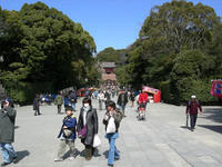 DSCN0652