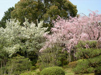 Shinen Garden