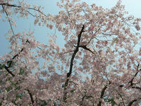 DSCN0861.jpg