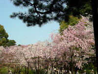 DSCN0862