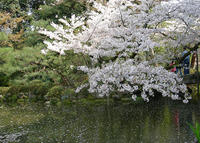 DSCN0864