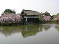 DSCN0871
