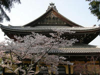 DSCN0875