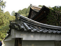 DSCN0877