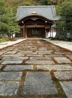 DSCN0879