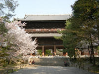 DSCN0881