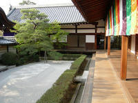 Zen garden