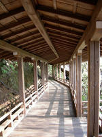 DSCN0888