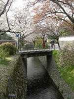 DSCN0892