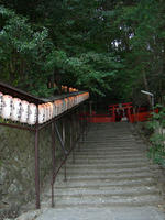 DSCN0894