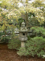 DSCN0917