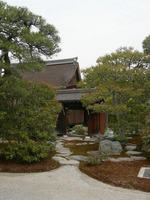 DSCN0919