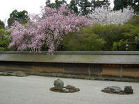 DSCN0928