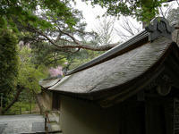 DSCN0929