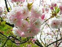 DSCN0933