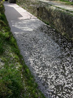 DSCN0934