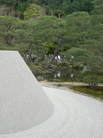 DSCN0938