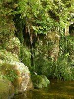 DSCN0944