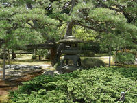 DSCN0967
