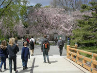 DSCN0969
