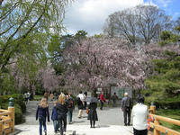 DSCN0970