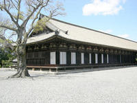 DSCN0976