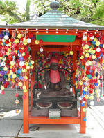 DSCN0985