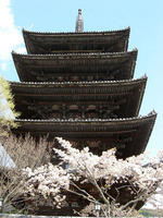 DSCN0988