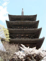 DSCN0989