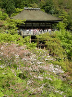 DSCN1007