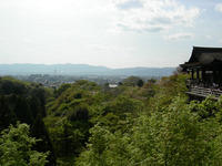 DSCN1018