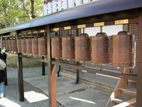 DSCN1024