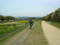 DSCN1029