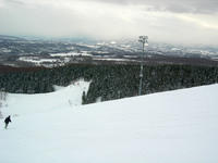 Wide runs & pine trees