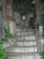 DSCN0203.jpg