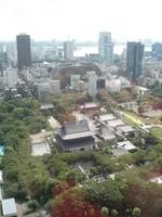 DSCN0229.jpg
