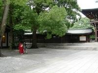 DSCN0260.jpg