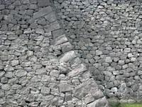 DSCN0278.jpg